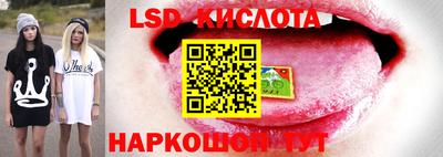 гашик Новодвинск