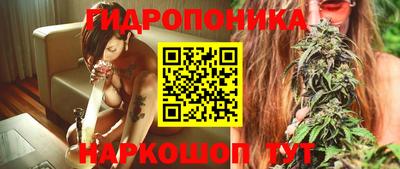 jwh Новозыбков