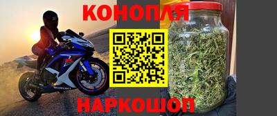 гашик Новодвинск
