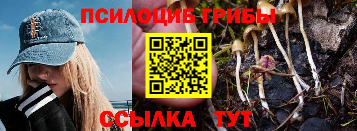 Севастополь  Галлюциногенные грибы Psilocybine cubensis  Псилоцибиновые грибы Psilocybe  Вход с VPN 